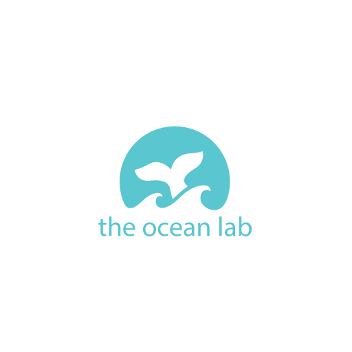 The Ocean Lab